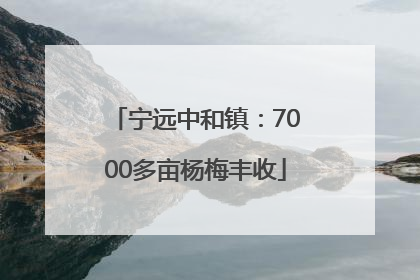 宁远中和镇：7000多亩杨梅丰收