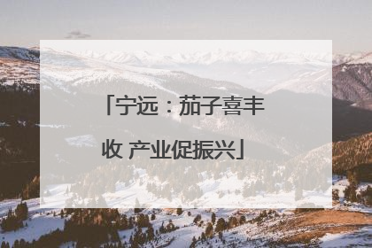 宁远：茄子喜丰收 产业促振兴