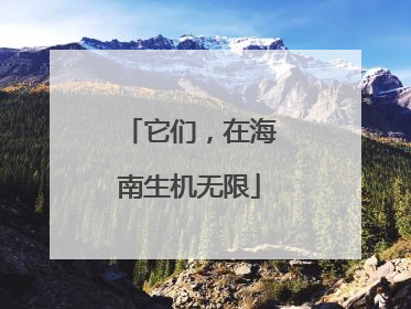 它们，在海南生机无限