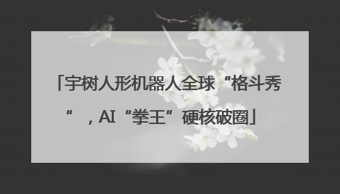 宇树人形机器人全球“格斗秀”，AI“拳王”硬核破圈