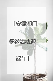 安徽祁门多彩活动迎端午