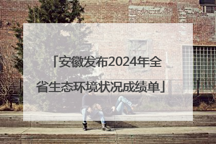 安徽发布2024年全省生态环境状况成绩单