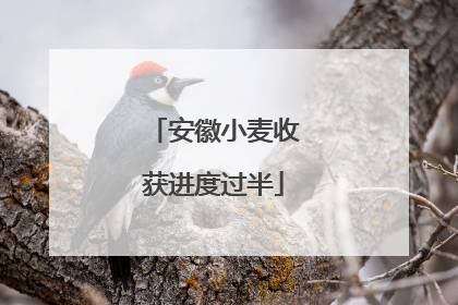 安徽小麦收获进度过半