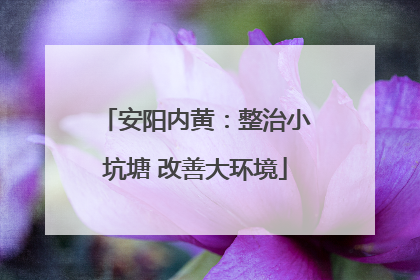 安阳内黄：整治小坑塘 改善大环境