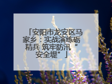 安阳市龙安区马家乡：实战演练砺精兵 筑牢防汛“安全堤”