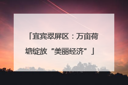 宜宾翠屏区：万亩荷塘绽放“美丽经济”