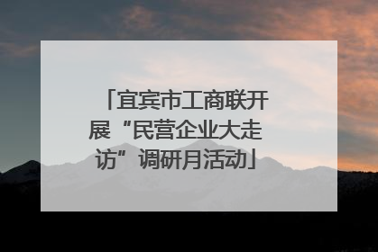 宜宾市工商联开展“民营企业大走访”调研月活动