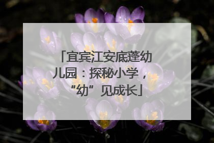 宜宾江安底蓬幼儿园：探秘小学，“幼”见成长