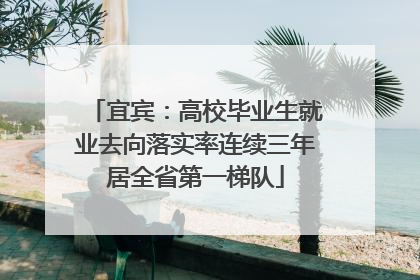 宜宾：高校毕业生就业去向落实率连续三年居全省第一梯队