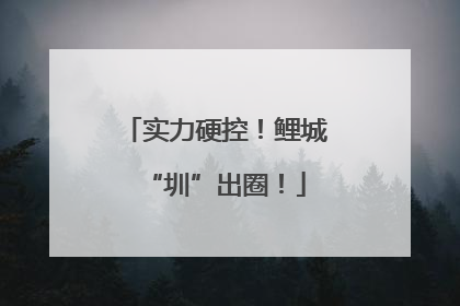 实力硬控！鲤城“圳”出圈！