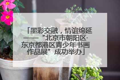 墨彩交融，情谊绵延——“北京市朝阳区·东京都港区青少年书画作品展”成功举办