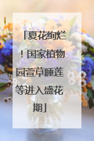 夏花绚烂！国家植物园萱草睡莲等进入盛花期