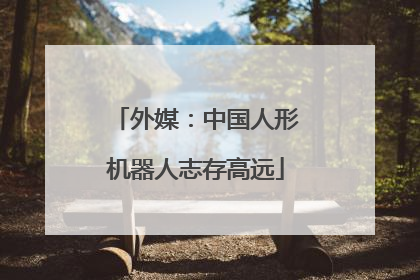 外媒：中国人形机器人志存高远
