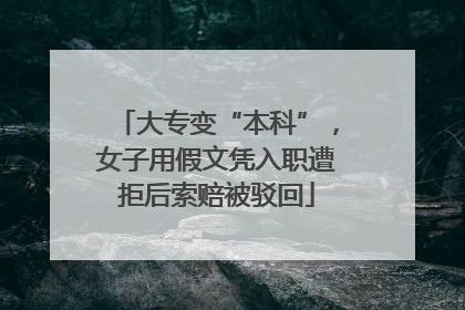 大专变“本科”，女子用假文凭入职遭拒后索赔被驳回