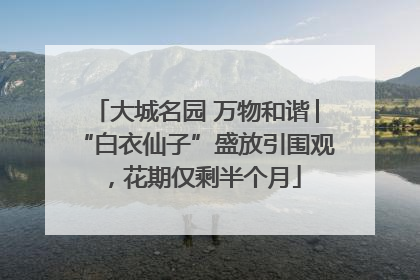大城名园 万物和谐│“白衣仙子”盛放引围观，花期仅剩半个月