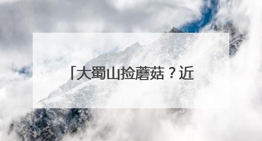 大蜀山捡蘑菇？近期疯长！官方提醒：不要随意采摘食用