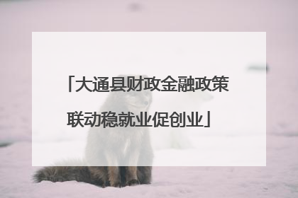大通县财政金融政策联动稳就业促创业