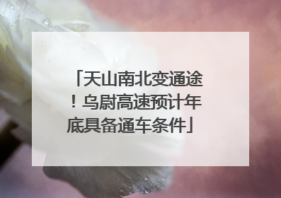 天山南北变通途！乌尉高速预计年底具备通车条件