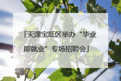 天津宝坻区举办“毕业即就业”专场招聘会
