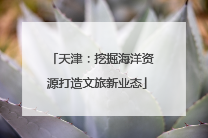 天津：挖掘海洋资源打造文旅新业态
