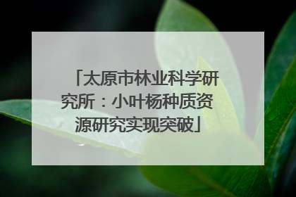 太原市林业科学研究所：小叶杨种质资源研究实现突破