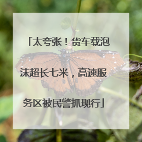 太夸张！货车载泡沫超长七米，高速服务区被民警抓现行