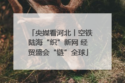 央媒看河北丨空铁陆海“织”新网 经贸盛会“链”全球