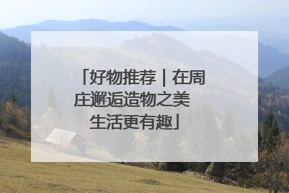 好物推荐｜在周庄邂逅造物之美 生活更有趣