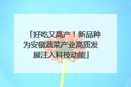 好吃又高产！新品种为安徽蔬菜产业高质发展注入科技动能