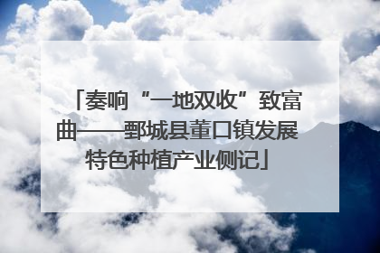 奏响“一地双收”致富曲——鄄城县董口镇发展特色种植产业侧记