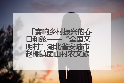 奏响乡村振兴的春日和弦——“全国文明村”湖北省安陆市赵棚镇团山村农文旅融合发展见闻