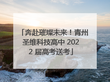 奔赴璀璨未来！青州圣维科技高中 2022 届高考送考
