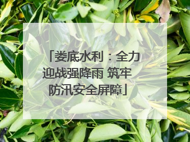 娄底水利：全力迎战强降雨 筑牢防汛安全屏障