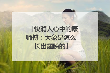 快消人心中的康师傅：大象是怎么长出翅膀的