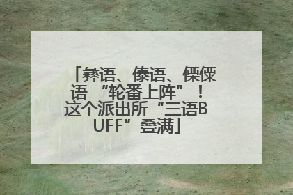 彝语、傣语、傈僳语 “轮番上阵”！这个派出所“三语BUFF”叠满