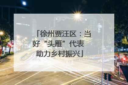 徐州贾汪区：当好“头雁”代表 助力乡村振兴