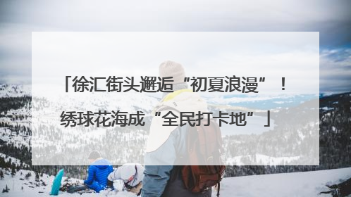 徐汇街头邂逅“初夏浪漫”！绣球花海成“全民打卡地”