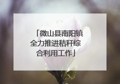 微山县南阳镇全力推进秸秆综合利用工作