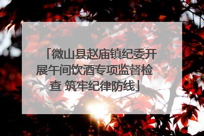 微山县赵庙镇纪委开展午间饮酒专项监督检查 筑牢纪律防线