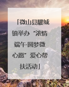 微山县驩城镇举办“浓情端午·圆梦微心愿”爱心帮扶活动