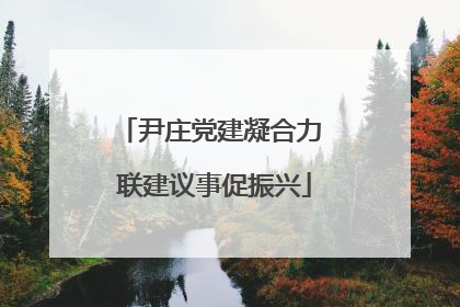 尹庄党建凝合力 联建议事促振兴