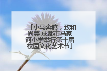 小马奔腾，致和尚美 成都市马家河小学举行第十届校园文化艺术节