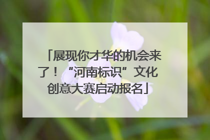 展现你才华的机会来了！“河南标识”文化创意大赛启动报名