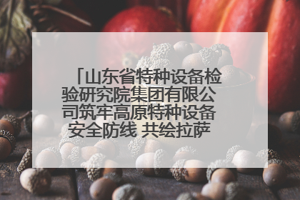 山东省特种设备检验研究院集团有限公司筑牢高原特种设备安全防线 共绘拉萨美好生活画卷