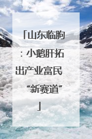山东临朐：小鹅肝拓出产业富民“新赛道”