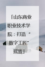 山东商业职业技术学院：打造“数字工匠”摇篮