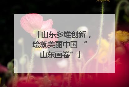 山东多维创新，绘就美丽中国 “山东画卷”