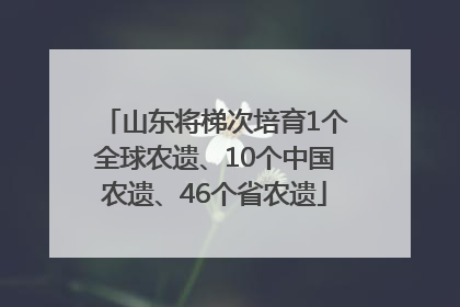 山东将梯次培育1个全球农遗、10个中国农遗、46个省农遗
