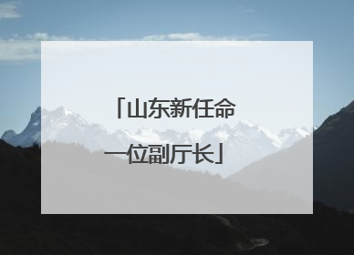 山东新任命一位副厅长