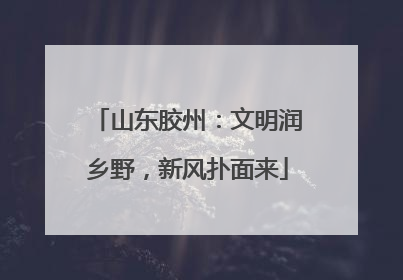 山东胶州：文明润乡野，新风扑面来